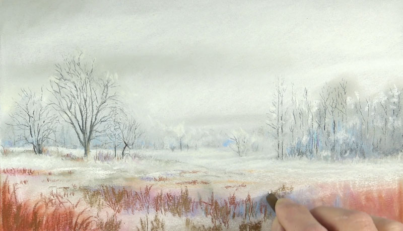 将颜色添加到景观的前景