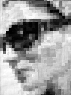 像素的照片教案