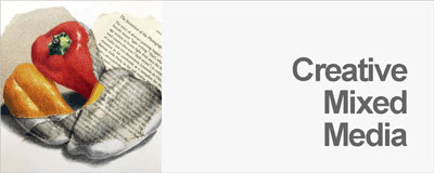 创意多媒体的使用