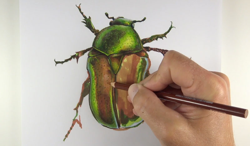 发展与彩色铅笔的纹理