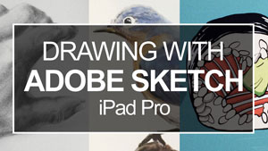 图纸与Adobe草图