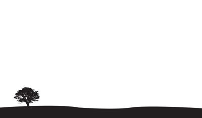 正负极空间——过度的负极