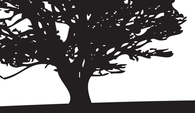 积极和消极的空间——过度的积极