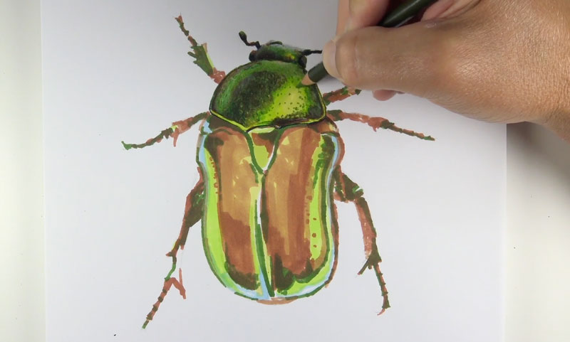 应用彩色铅笔标记