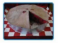 巨大的垃圾食物教案