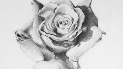 铅笔绘制纹理研究1