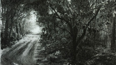 景观绘图与木炭的教训