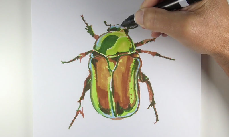 分层的颜色和标记