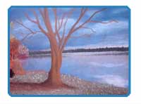 柔和的风景教案