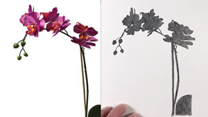 理解积极和消极空间图纸