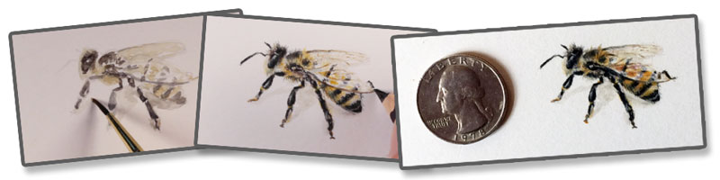 微小的绘画练习