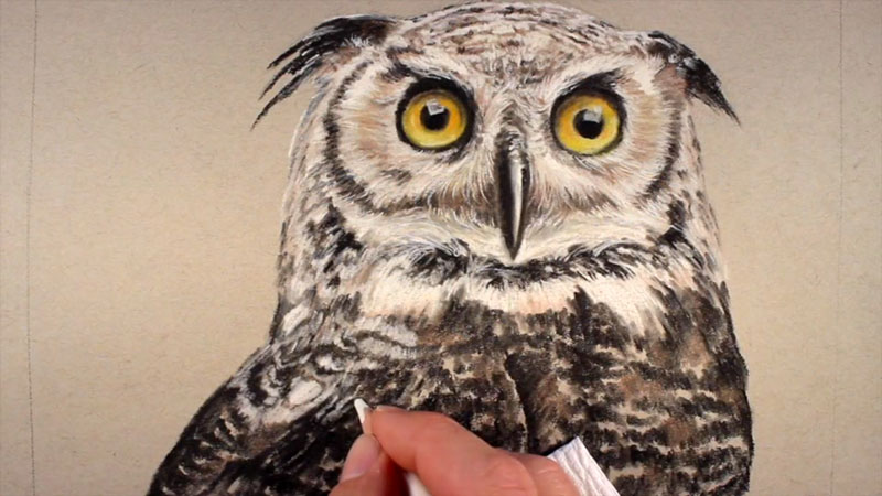 用彩色铅笔的细节