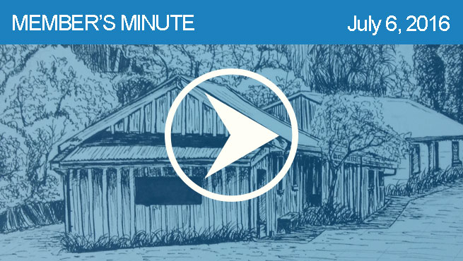 钢笔和墨水批判