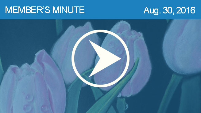 柔和的静物批判