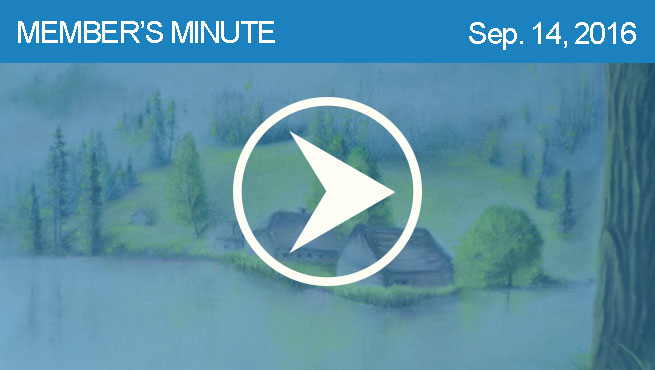 柔和的风景批判