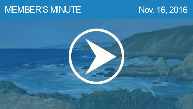 柔和的风景批判