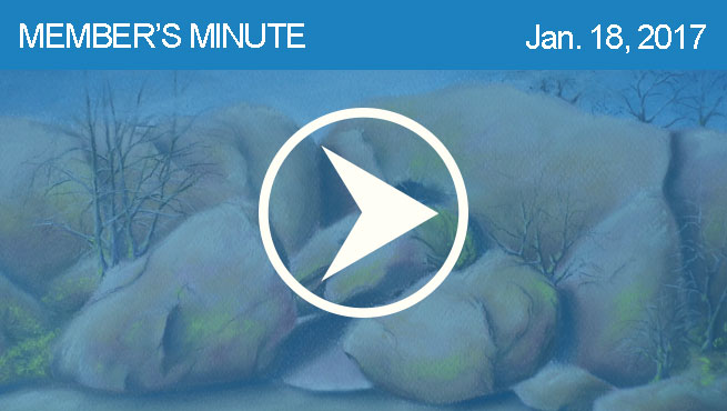 柔和的风景批判