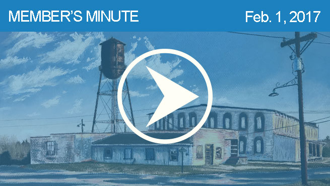 柔和的风景批判