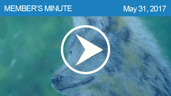 蜡笔画一只狼的批判