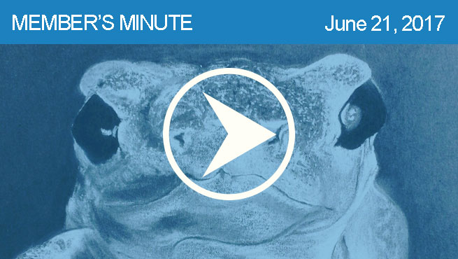 白色的素描批判