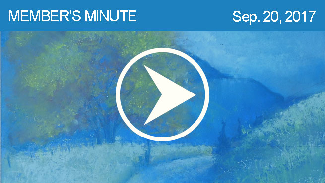 柔和的风景批判