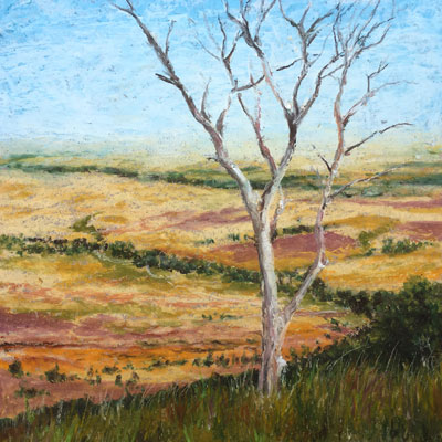 第1部分石油柔和的风景