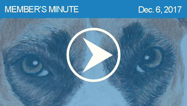 彩色铅笔宠物画像批判