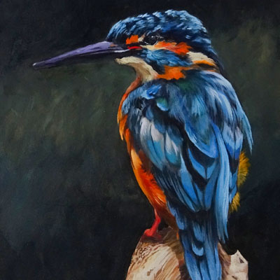 丙烯酸系列绘画课鸟