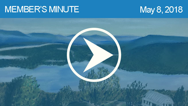 柔和的风景批判