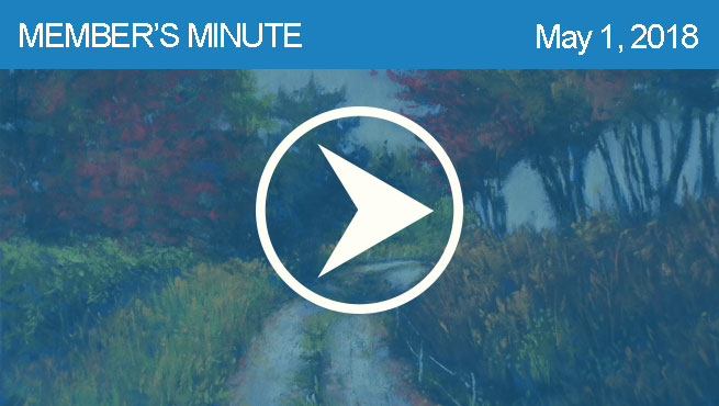 柔和的风景批判