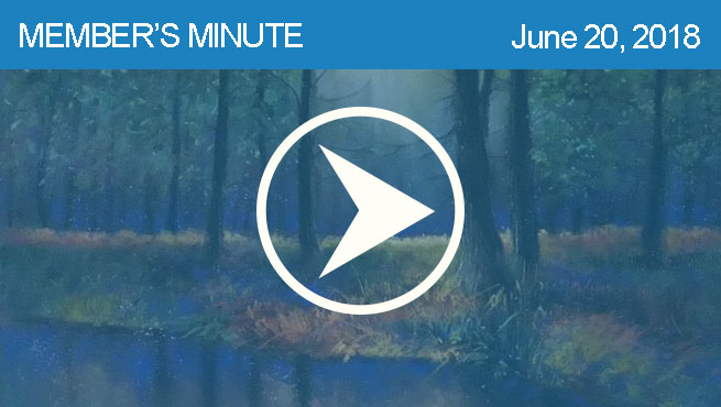 柔和的风景批判