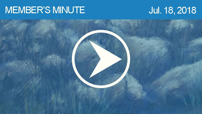 柔和的风景批判