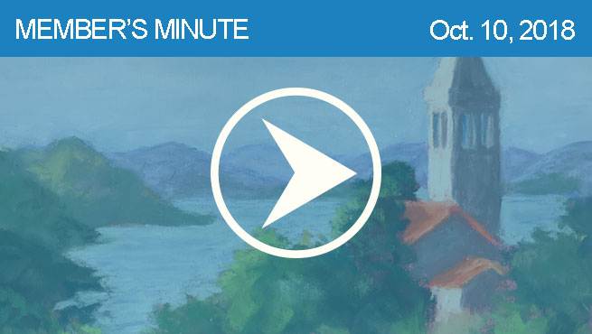 柔和的风景批判