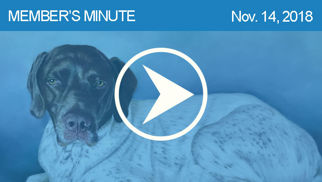 柔和的宠物画像批判