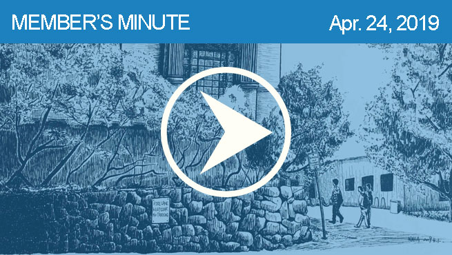 钢笔和墨水批判