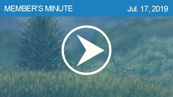 柔和的风景批判