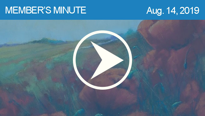 柔和的风景批判