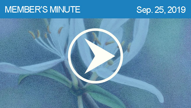 彩色铅笔绘制批判