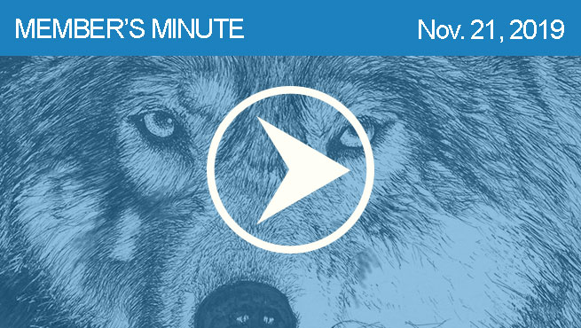 钢笔和墨水批判