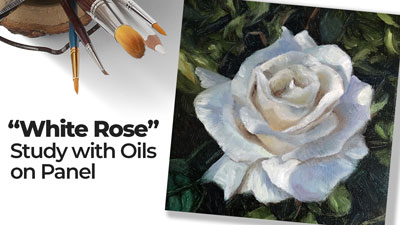 白玫瑰——研究油