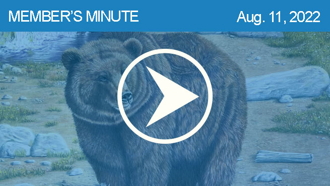 彩色铅笔熊批判