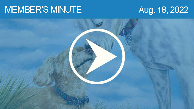 柔和的狗画批判