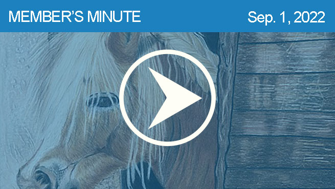 彩色铅笔绘制批判