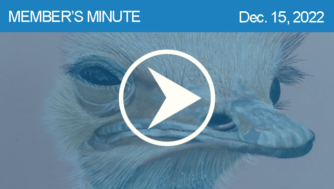 彩色铅笔绘制批判