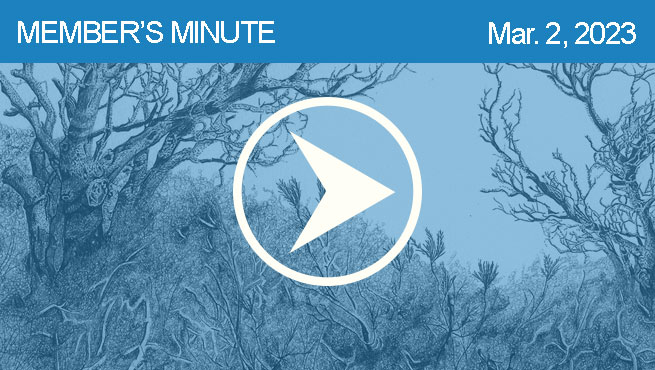 钢笔和墨水画的批评