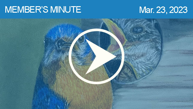 混合媒体画批判