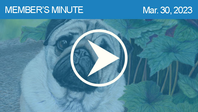 蜡笔和彩色铅笔画画批判