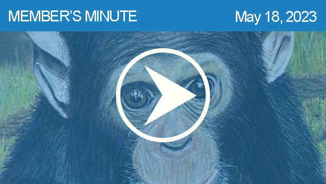 彩色铅笔绘制批判