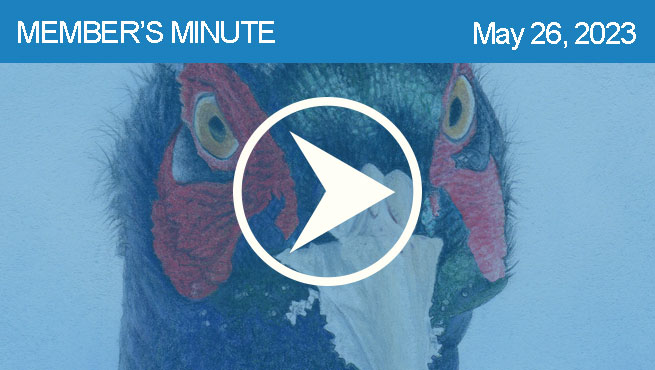 混合媒体画批判