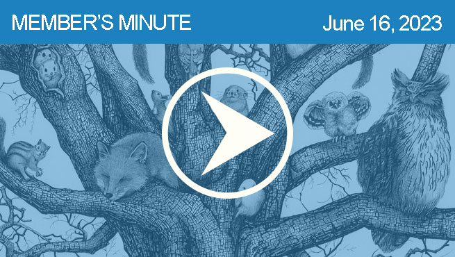 钢笔和墨水画的批评